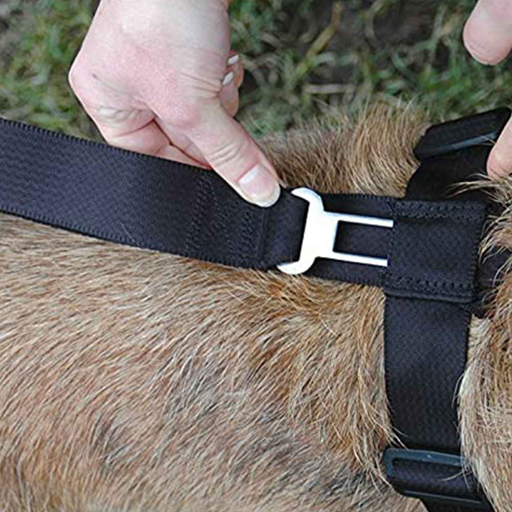 car safety harness for small dogs